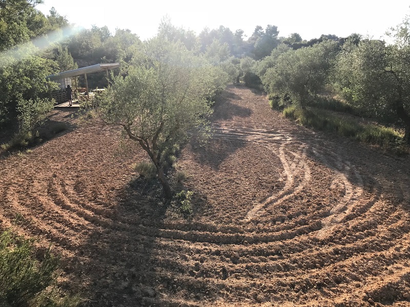 Imatge secundària