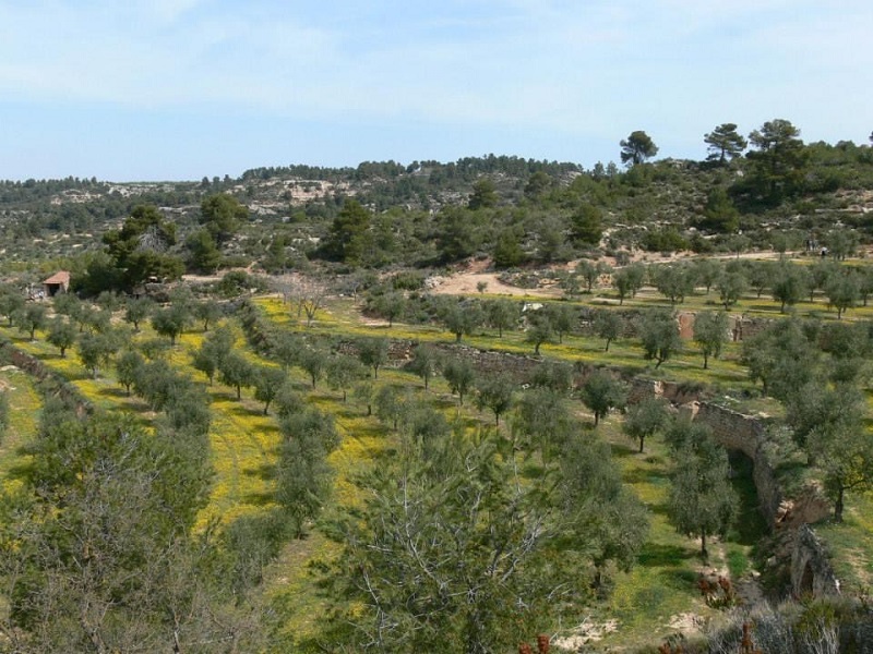 Les Vimeteres