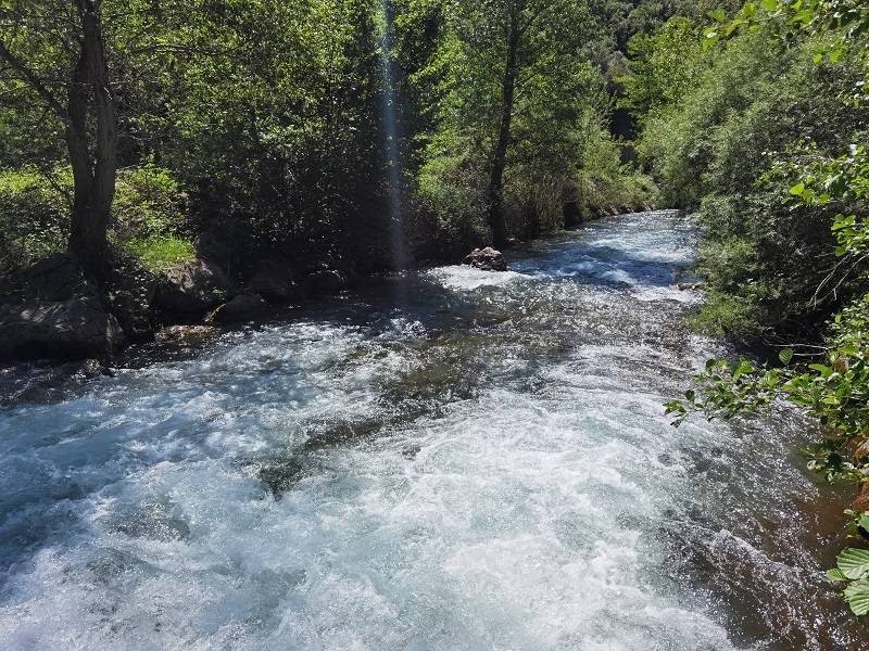La Borda del Metge