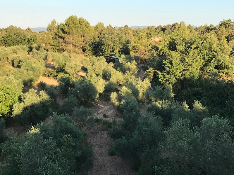 Imatge secundària